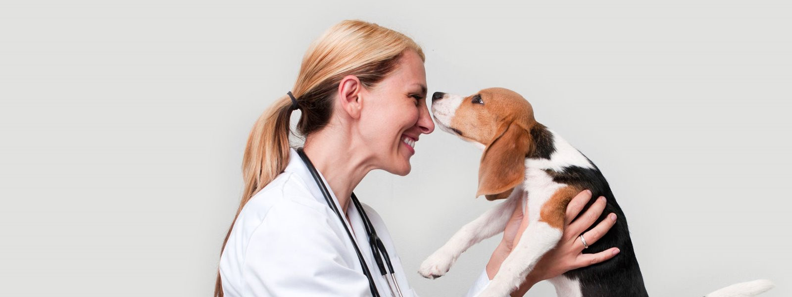 Информациооный портал, поддерживаемый Государственной ветеринарной больницей г. Донецка 
Подробнее